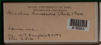 Image Associated With the Occurence